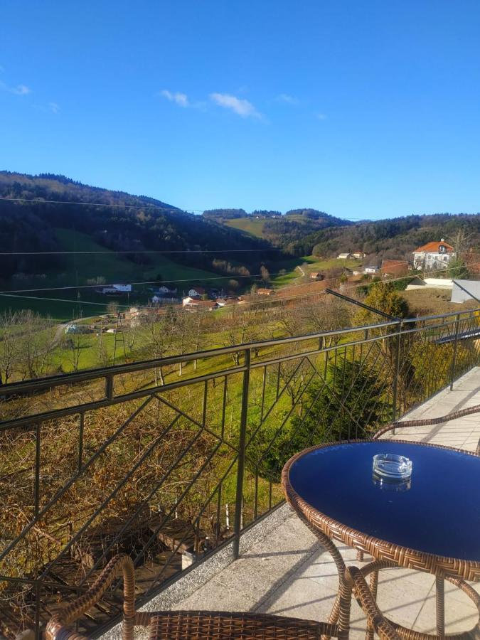 Apartmaji Sofia Maribor Bagian luar foto