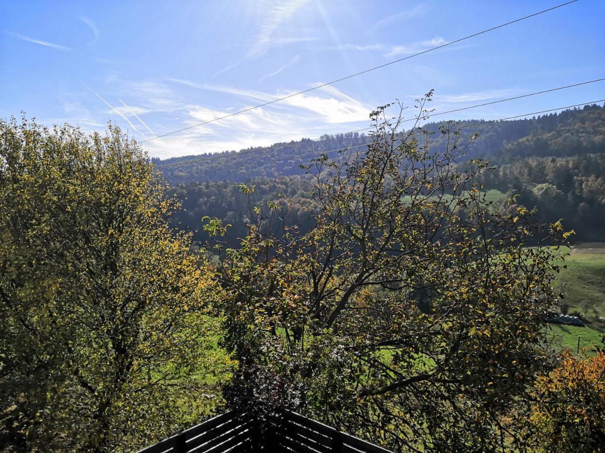Apartmaji Sofia Maribor Bagian luar foto