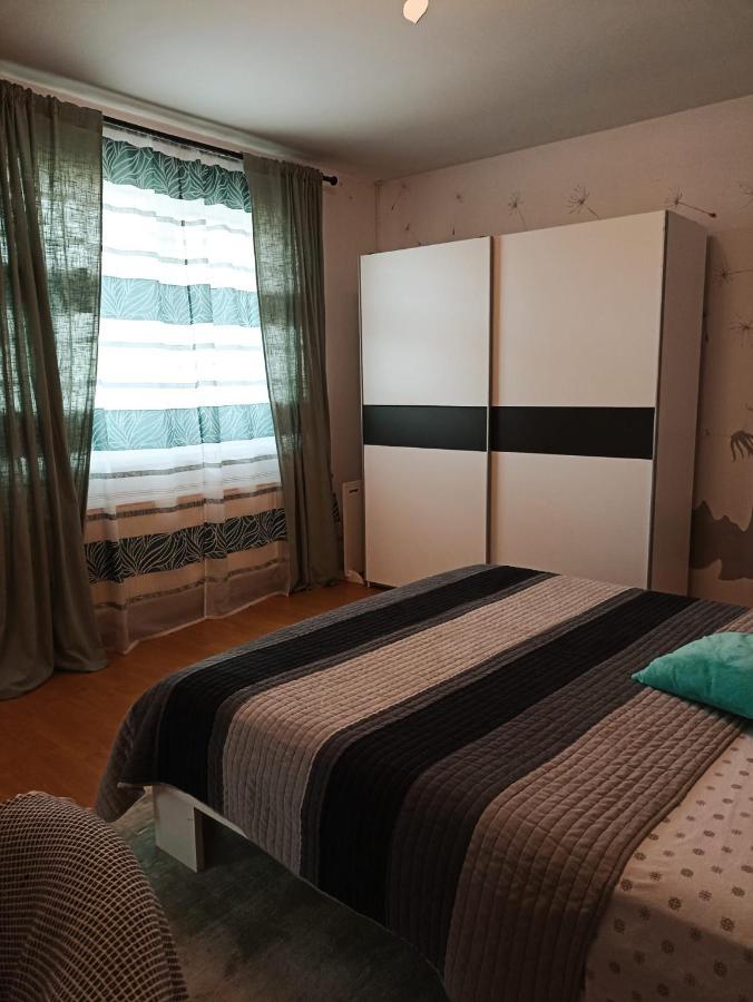 Apartmaji Sofia Maribor Bagian luar foto