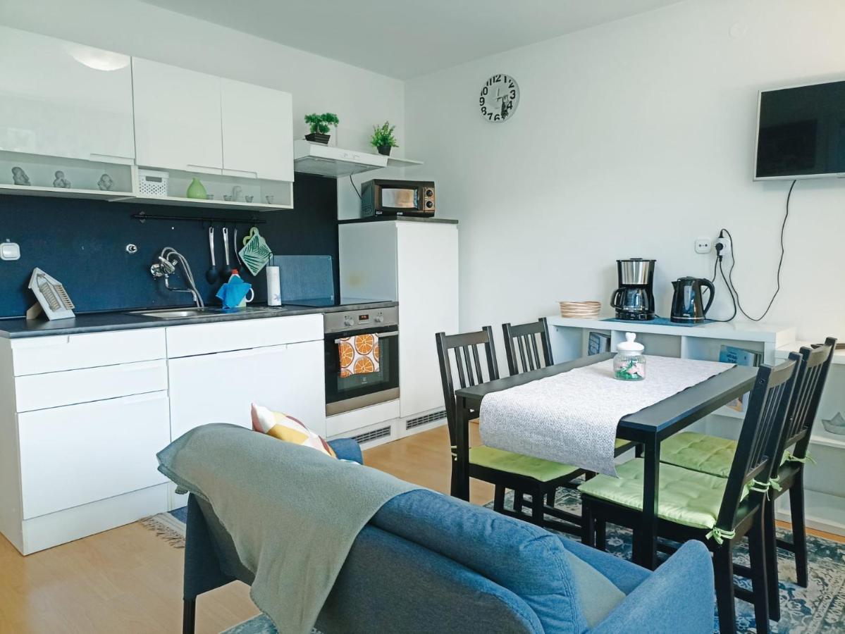 Apartmaji Sofia Maribor Bagian luar foto