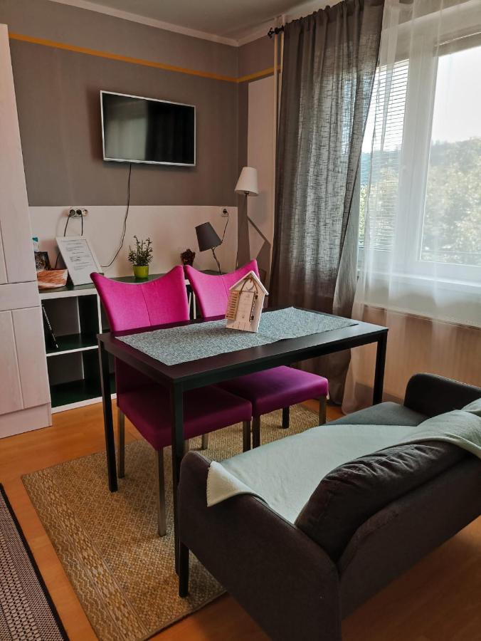 Apartmaji Sofia Maribor Bagian luar foto